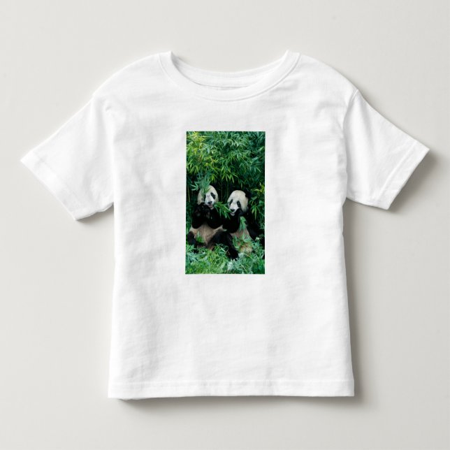 Camiseta Dois pandas comendo bambu juntos, Wolong (Frente)