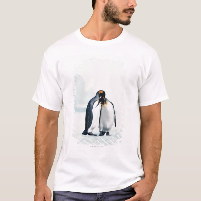 Camiseta Dois pinguins afectuosos (Frente)
