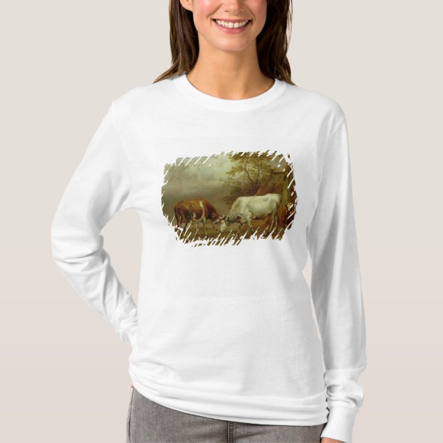 Camiseta Dois touros com chifres fechados, 1653 (Frente)