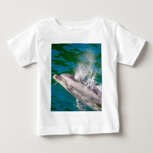 Camiseta Dolphin In Milford Sound, Nova Zelândia (Frente)
