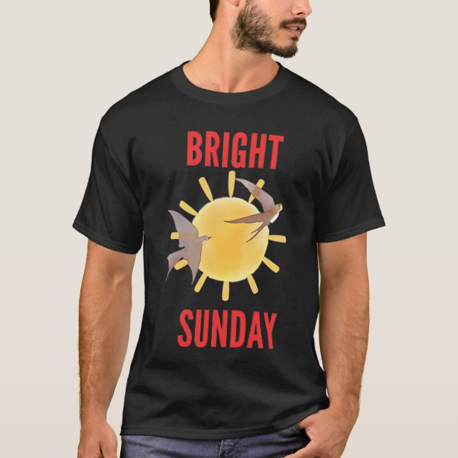 Camiseta Domingo Brilhante Sol e Pássaros (Frente)