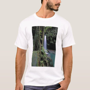 Camiseta Dominica, Piscina Esmeralda, Cascata.