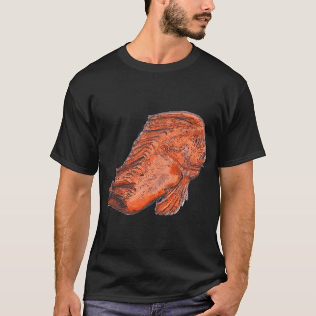Camiseta Donald o Peixe Índio Vermelho (Frente)