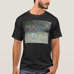 Camiseta Donkey em um Campo de outono.