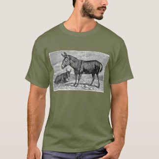 Camiseta Donkeys