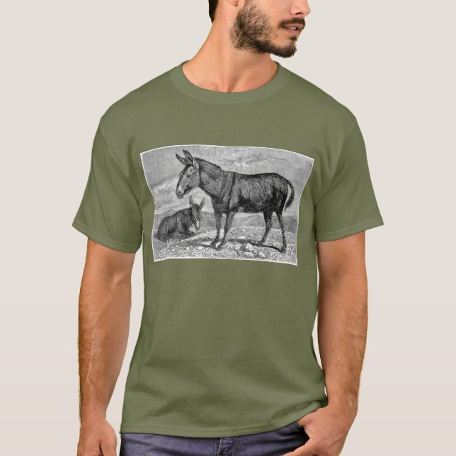 Camiseta Donkeys (Frente)