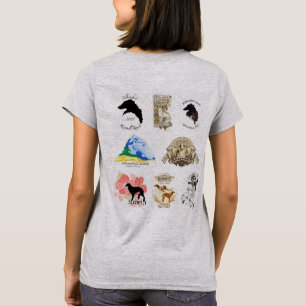 Camiseta dos logotipos Silkenfest - final