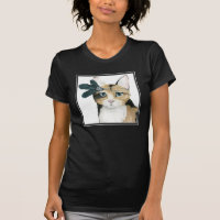 Downton Cat | Sujeitas A Penas