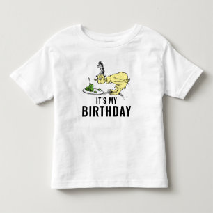 Camiseta Dr. Seuss - Caracteres   ANIVERSÁRIO DE CRIANÇA