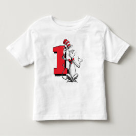 Camiseta Dr. Seuss - Personagens | Aniversário Infantil