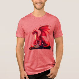CAMISETA DRAGÃO