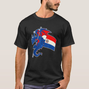 Camiseta Dragão Épico Com Bandeira do Paraguai Paraguaio