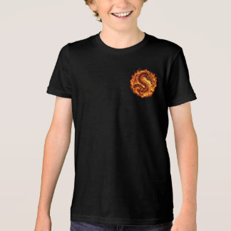 Camiseta Dragão Fogo Chamas Laranja Fogo Presente para home