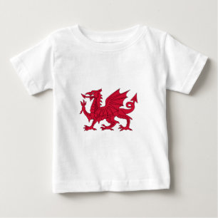 Camiseta Dragão galês