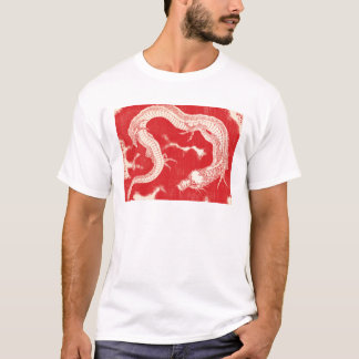 Camiseta Dragão, Hokusai