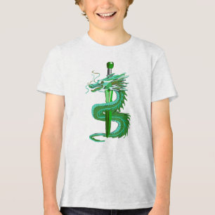 Camiseta Dragão Serpente Verde Místico