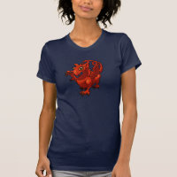 Dragão Vermelho Bebé Galês Desenho Animado Furioso
