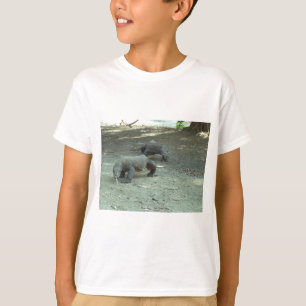 Camiseta Dragões de Komodo