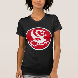 Camiseta dragon