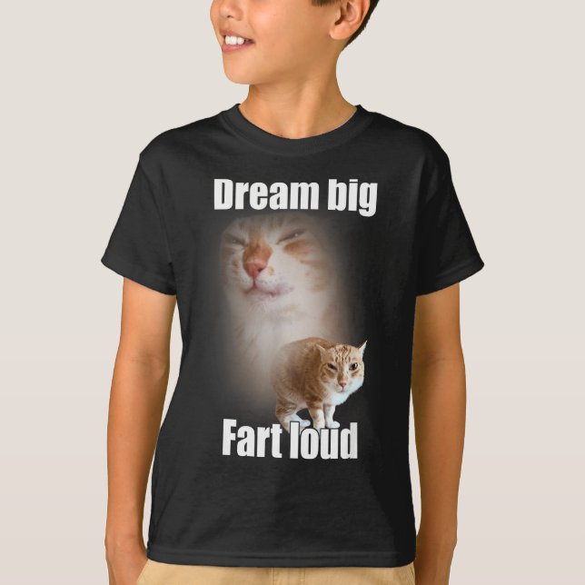 Camiseta Dream Big Fart Loud Cat Meme Funny Saying  (Frente)