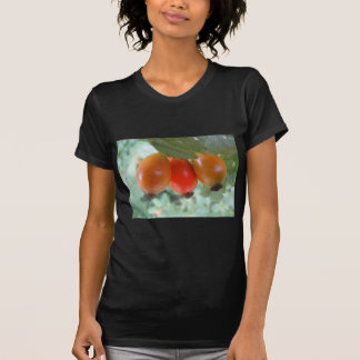 Camiseta Drei orange Hagebutten