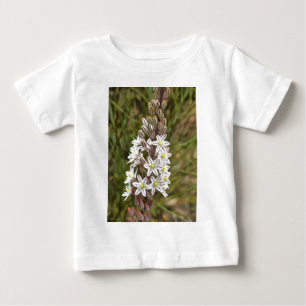 Camiseta Drimia Maritima Ou Island Onion Art