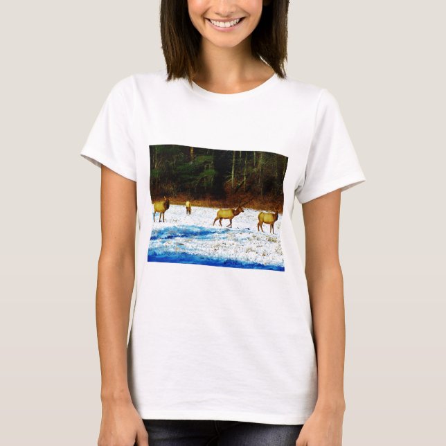 CAMISETA DSC00131.JPG (Frente)