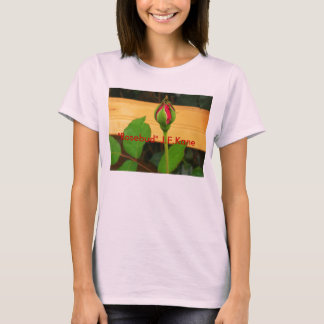 Camiseta DSCN1206, "Rosebud" J.F.Kane