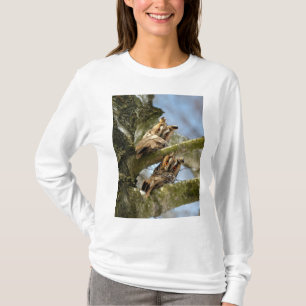 Camiseta Duas corujas nos bosques, aves, vida selvagem