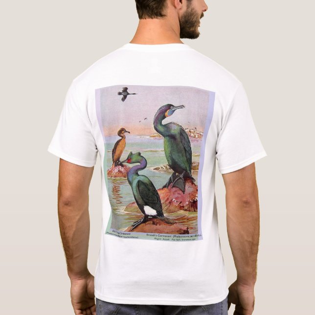Camiseta Duas espécies corvos-marinhos, trabalho de arte fr (Verso)