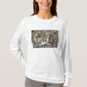 Camiseta Duas fêmeas de Macacos Dourados com recém-nascidos