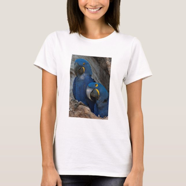 Camiseta Duas Macaws Hyacinth (Frente)