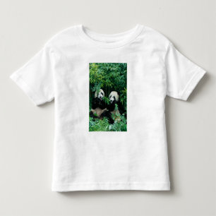 Camiseta Duas pandas que comem o bambu junto, Wolong, 2