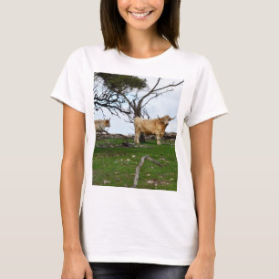 Camiseta Duas Vacas Terrestres Cultivadas em Terras Agrícol