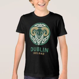 Camiseta Dublin Ireland Europe