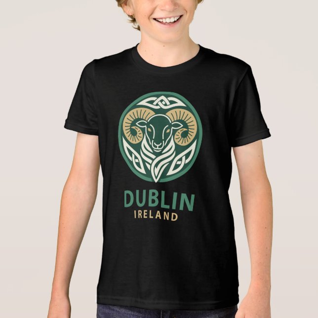 Camiseta Dublin Irlanda Europa (Frente)