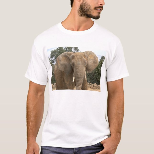 Camiseta Dumbo (Frente)