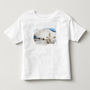 Camiseta Dunas Transversais e Soaptree Yucca