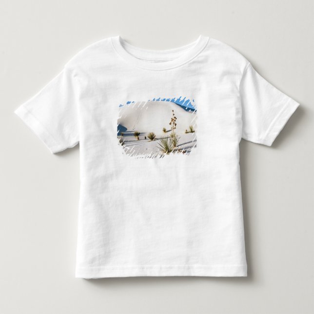 Camiseta Dunas Transversais e Soaptree Yucca (Frente)