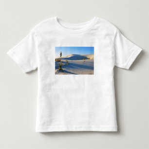 Camiseta Dunas Transversais, Yucca, Luz do Início da Manhã