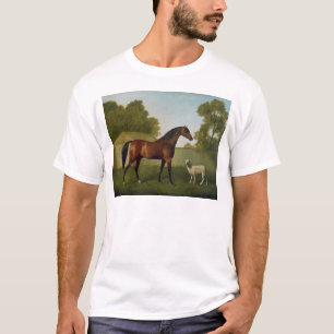 Camiseta Dungannon, a propriedade do coronel O'Kelly