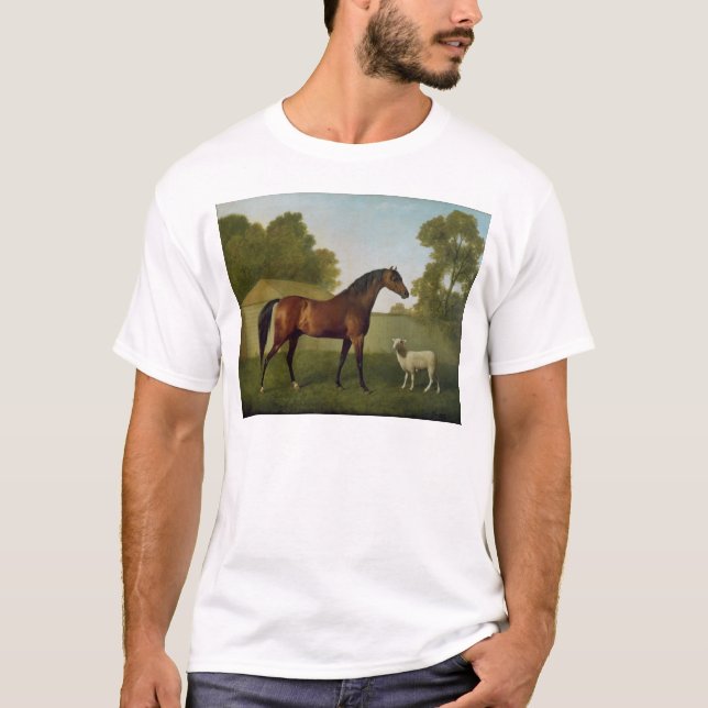 Camiseta Dungannon, a propriedade do coronel O'Kelly (Frente)