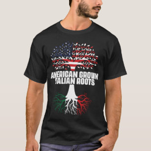 Camiseta Dupla Cidadania América Itália Bandeira Raízes Ita