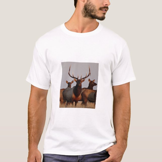 Camiseta E66 Alce Macho e Fêmeas (Frente)