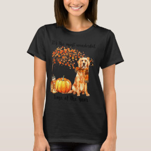 Camiseta É A Cicatriz Mais Maravilhosa Do Ouro Do Tempo
