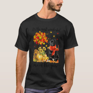 Camiseta É a Mais Maravilhosa Época de Outono Pug Abóbora 1