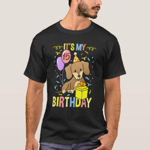 Camiseta É Meu 15 Birthday Dachshund