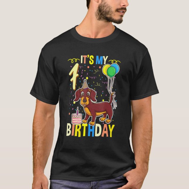 Camiseta É Meu 7 Birthday Dachshund (Frente)