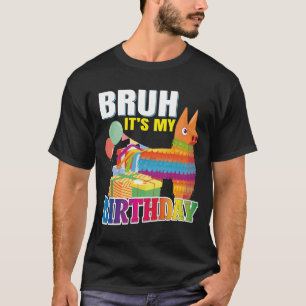 Camiseta É Meu Aniversário Lhama Pinata Menino Menina Famíl