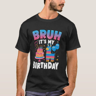 Camiseta É Meu Aniversário, Llama Pinata Festa Infantil Bru
